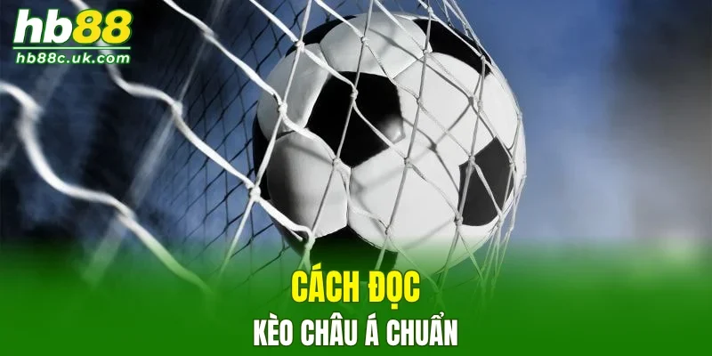 Cách đọc tỷ lệ cược chuẩn chỉnh nhất