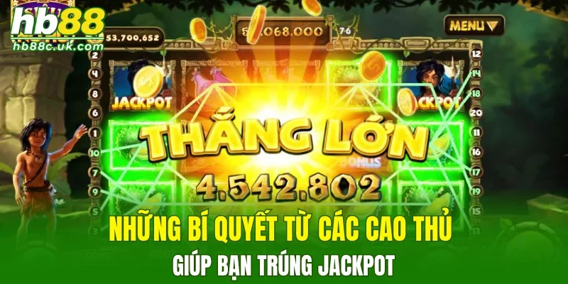 Những bí quyết từ các cao thủ giúp bạn trúng jackpot